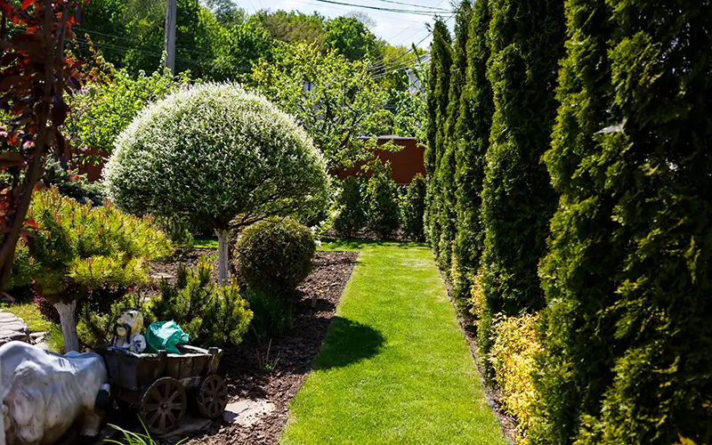 Landschaftsgestaltung